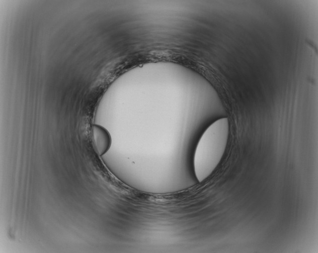 X0000103170706200808221128