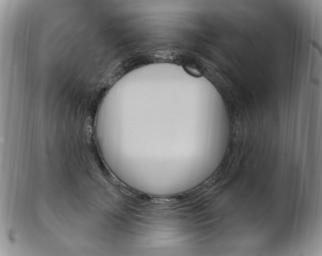 X0000103170707200808221128