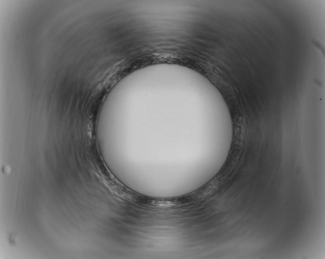 X0000103170710200808221128