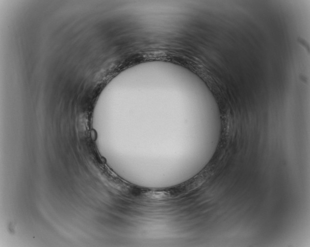 X0000103170711200808221128