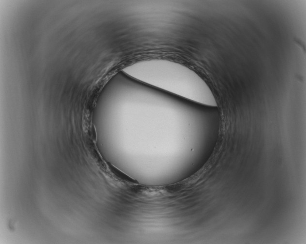X0000103170712200808221128