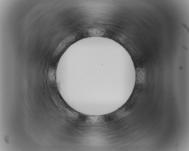 X0000103170713200808221128
