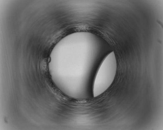 X0000103170715200808221128
