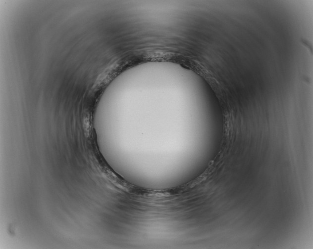 X0000103170716200808221128