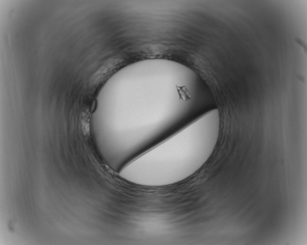 X0000103170719200808221128
