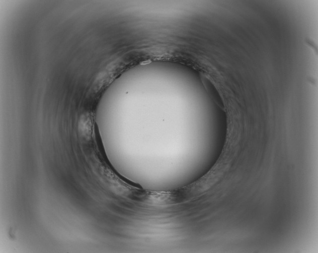 X0000103170720200808221128