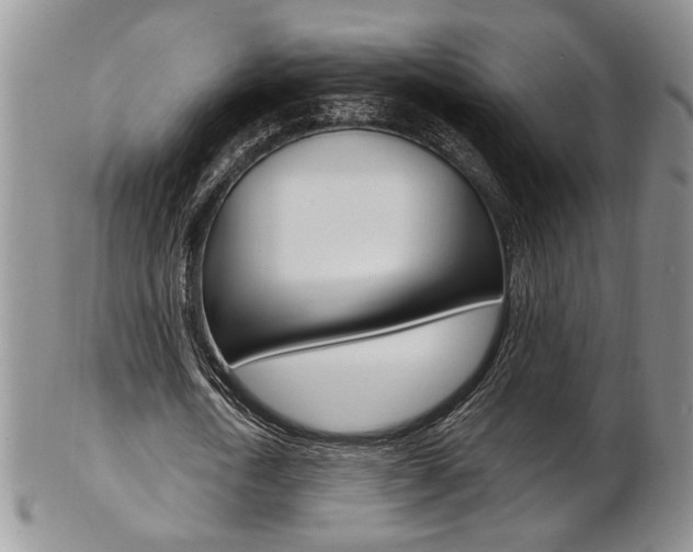 X0000103170722200808221127