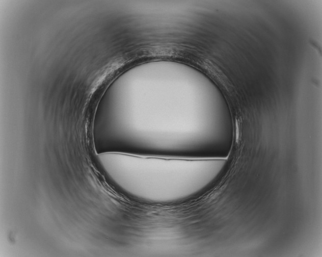 X0000103170723200808221127
