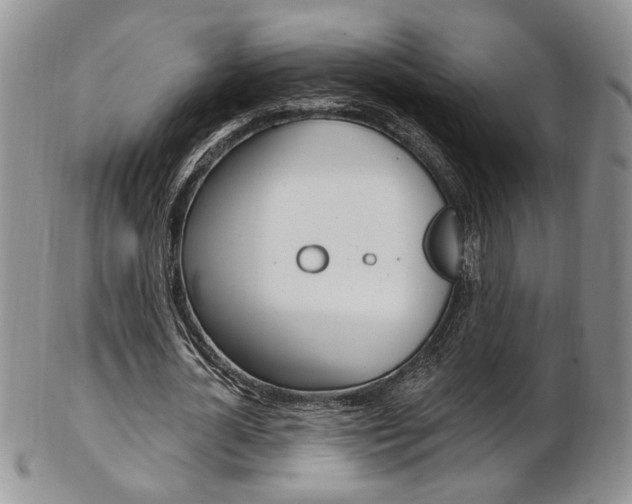 X0000103170724200808221127