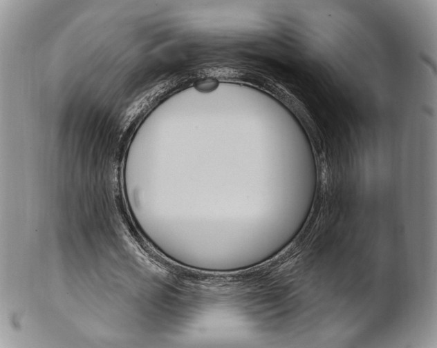 X0000103170725200808221127