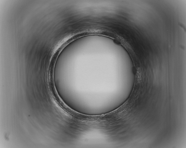 X0000103170726200808221127