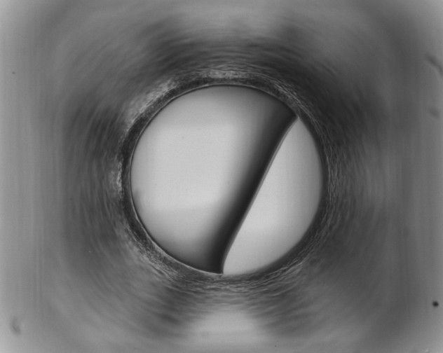 X0000103170727200808221127