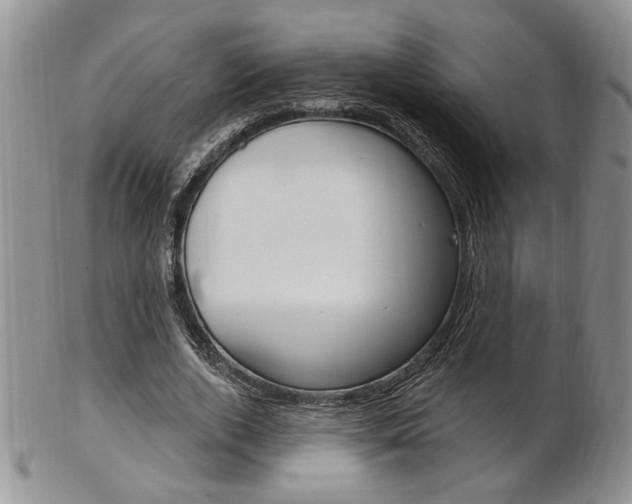 X0000103170728200808221127