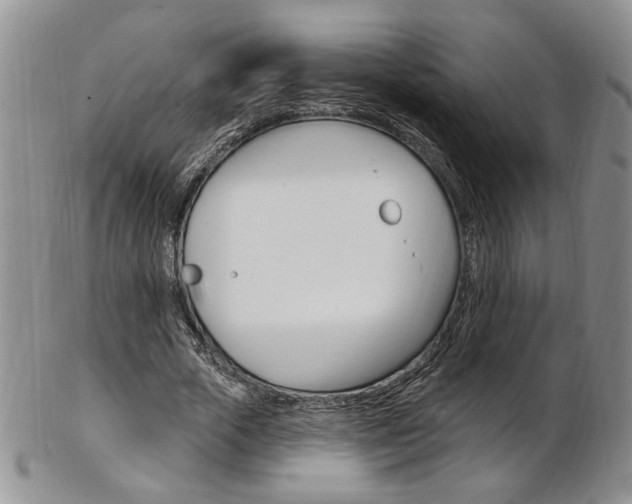 X0000103170729200808221127