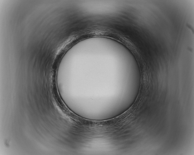 X0000103170730200808221127