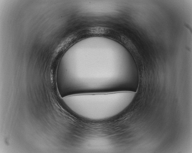 X0000103170731200808221127