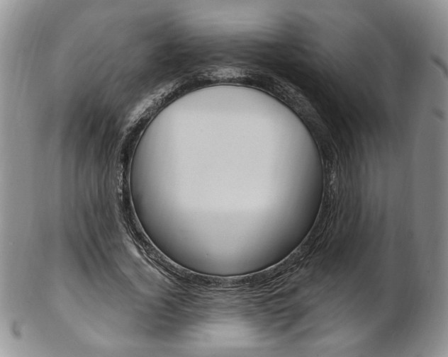 X0000103170732200808221127
