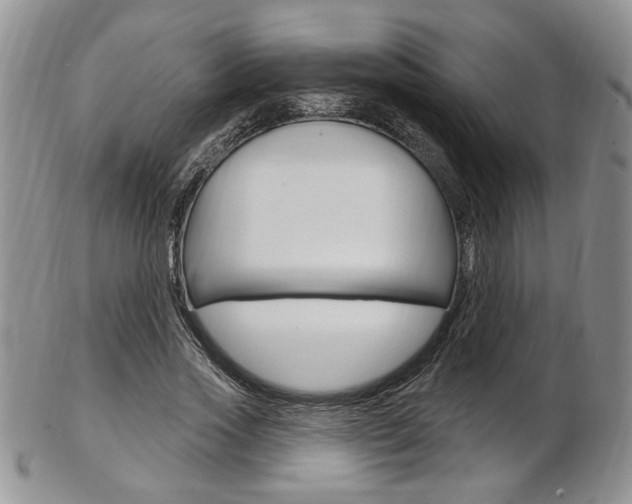 X0000103170733200808221127
