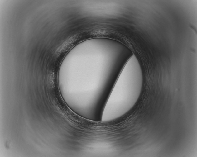 X0000103170735200808221127