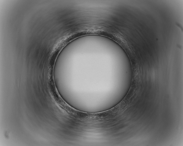 X0000103170736200808221127