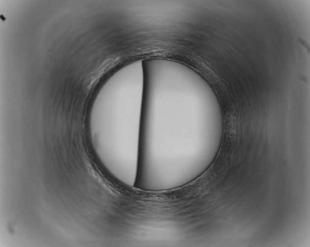 X0000103170738200808221127