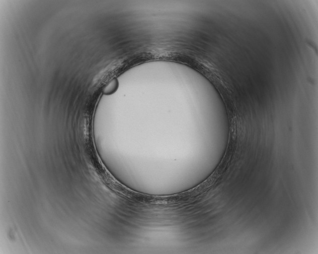 X0000103170740200808221127