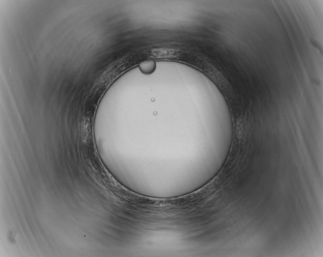 X0000103170741200808221127