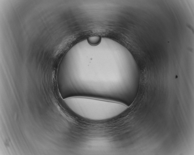 X0000103170742200808221127
