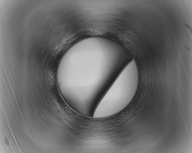X0000103170743200808221127
