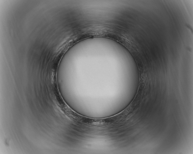 X0000103170744200808221128