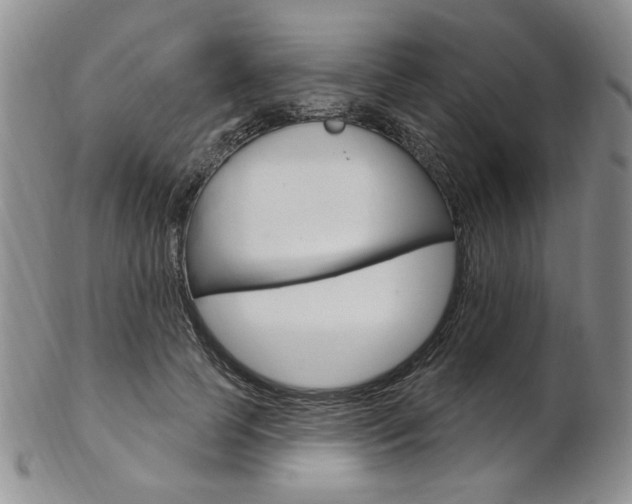 X0000103170745200808221128
