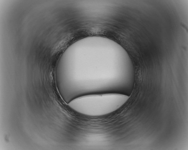 X0000103170746200808221128