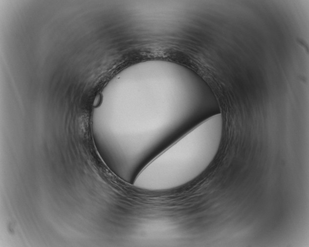 X0000103170747200808221128