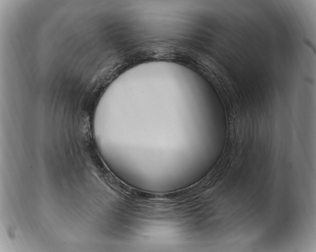 X0000103170748200808221128