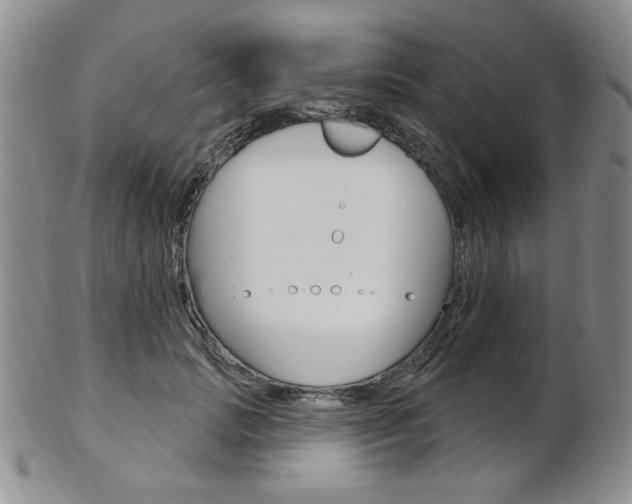 X0000103170749200808221128