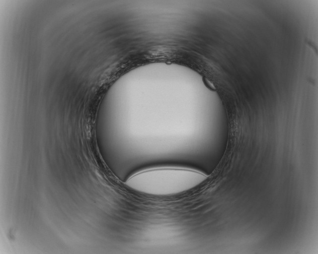 X0000103170751200808221128
