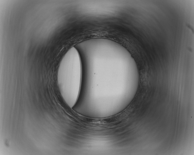 X0000103170752200808221128