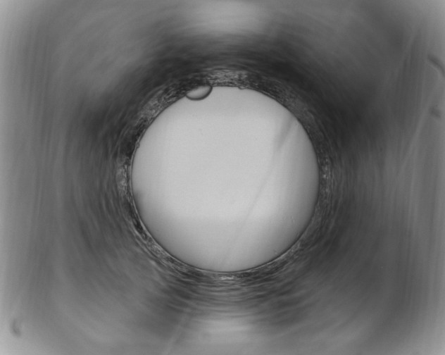 X0000103170753200808221128