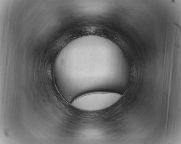 X0000103170754200808221128