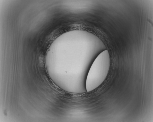X0000103170757200808221128