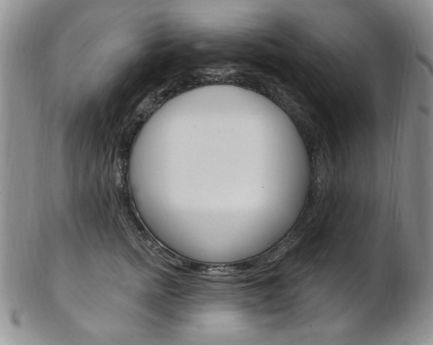 X0000103170758200808221128
