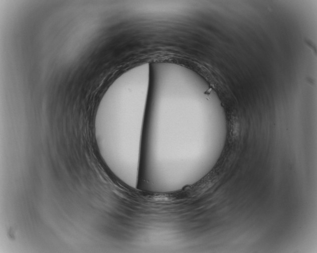 X0000103170759200808221128