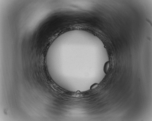 X0000103170760200808221128
