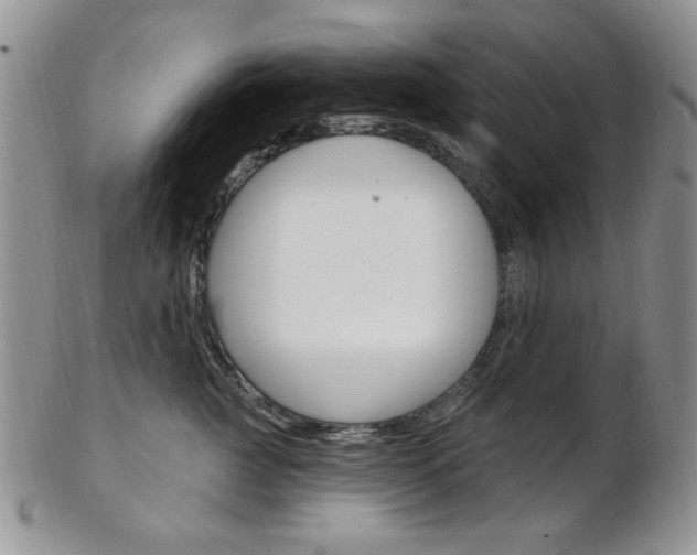 X0000103170761200808221128