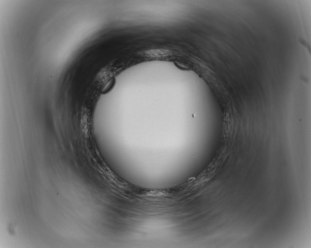 X0000103170762200808221128