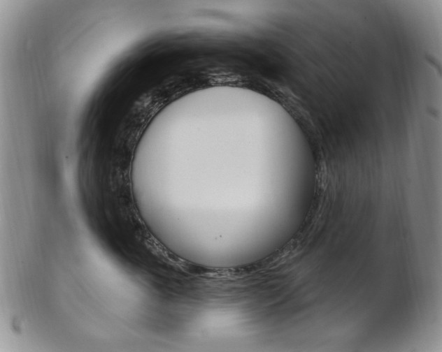 X0000103170763200808221128