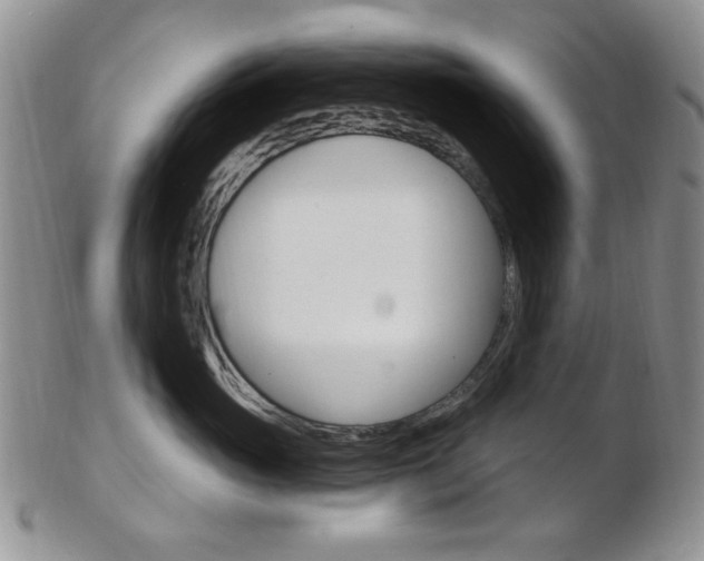 X0000103170765200808221128