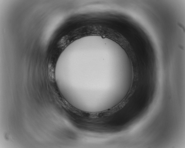 X0000103170766200808221128