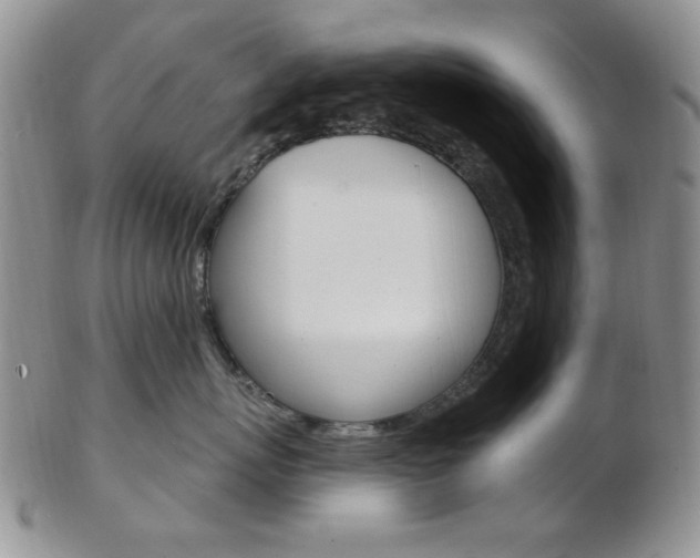 X0000103170767200808221128