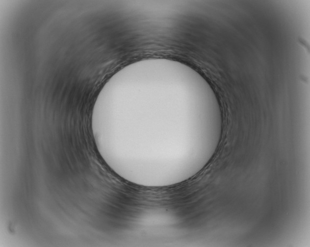 X0000103170768200808221128
